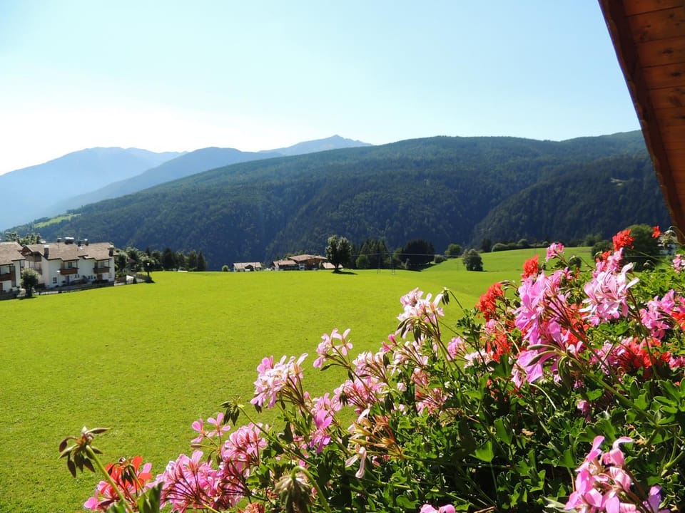 Natural landscape
