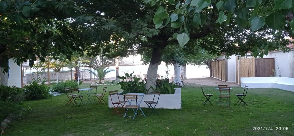 Garden, Sea view