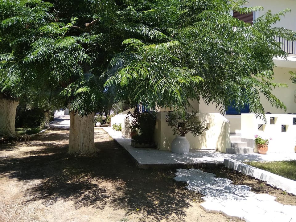 Property building, Garden view