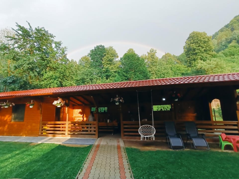 Pensiunea Silva Dobra Bed and Breakfast in Romania