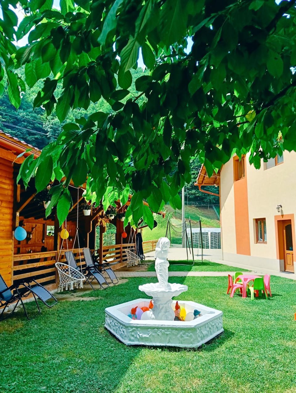 Pensiunea Silva Dobra Bed and Breakfast in Romania