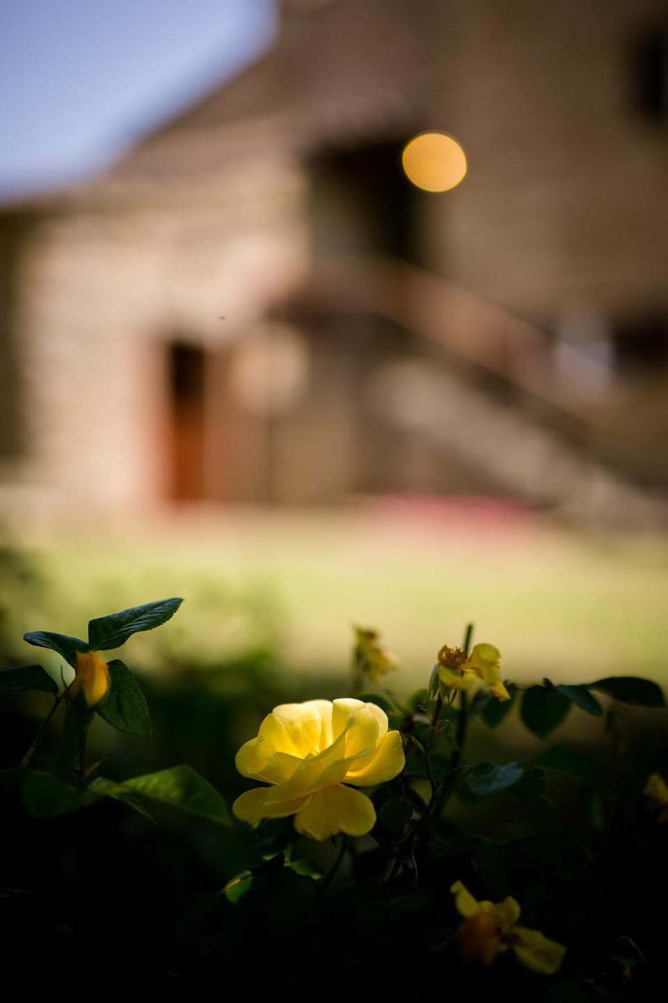 Borgo Al Teto La Vite Apartment in Umbria