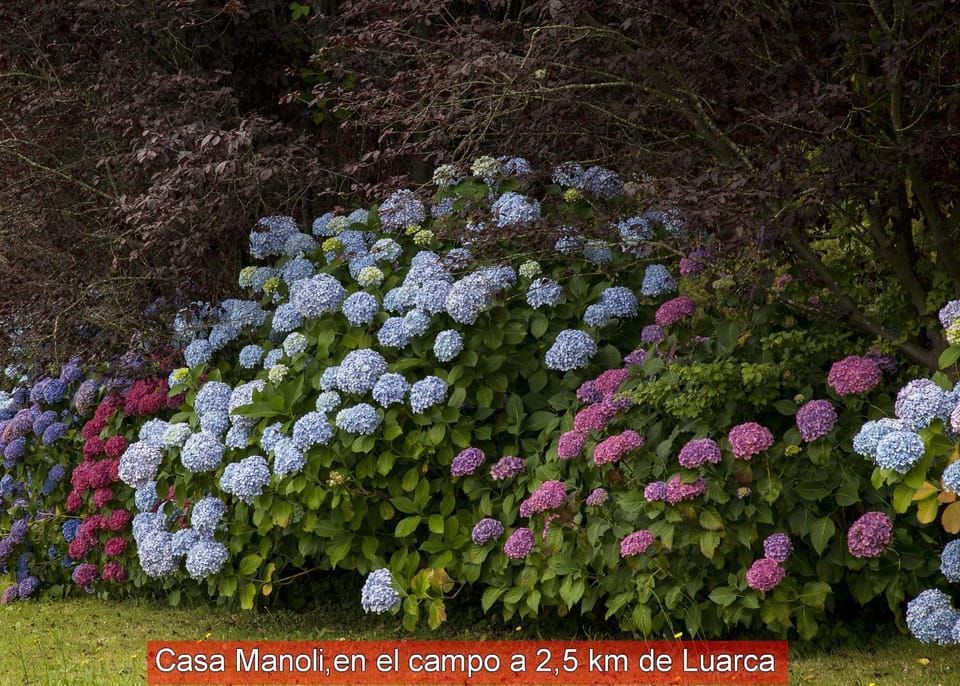 Casa Manoli Luarca Country House in Asturias