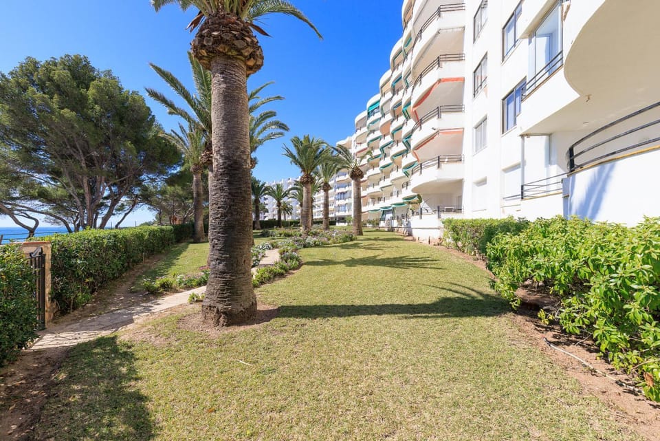 Property building, Garden