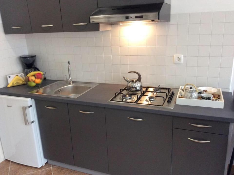 Studio Bi Apartment in Istria County