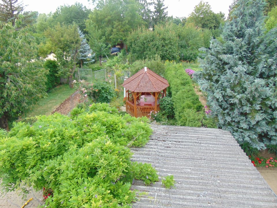 Day, Summer, Garden, Garden view