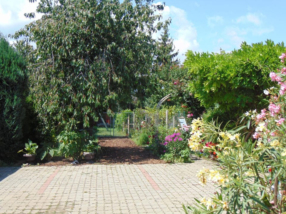 Day, Summer, On site, Garden view