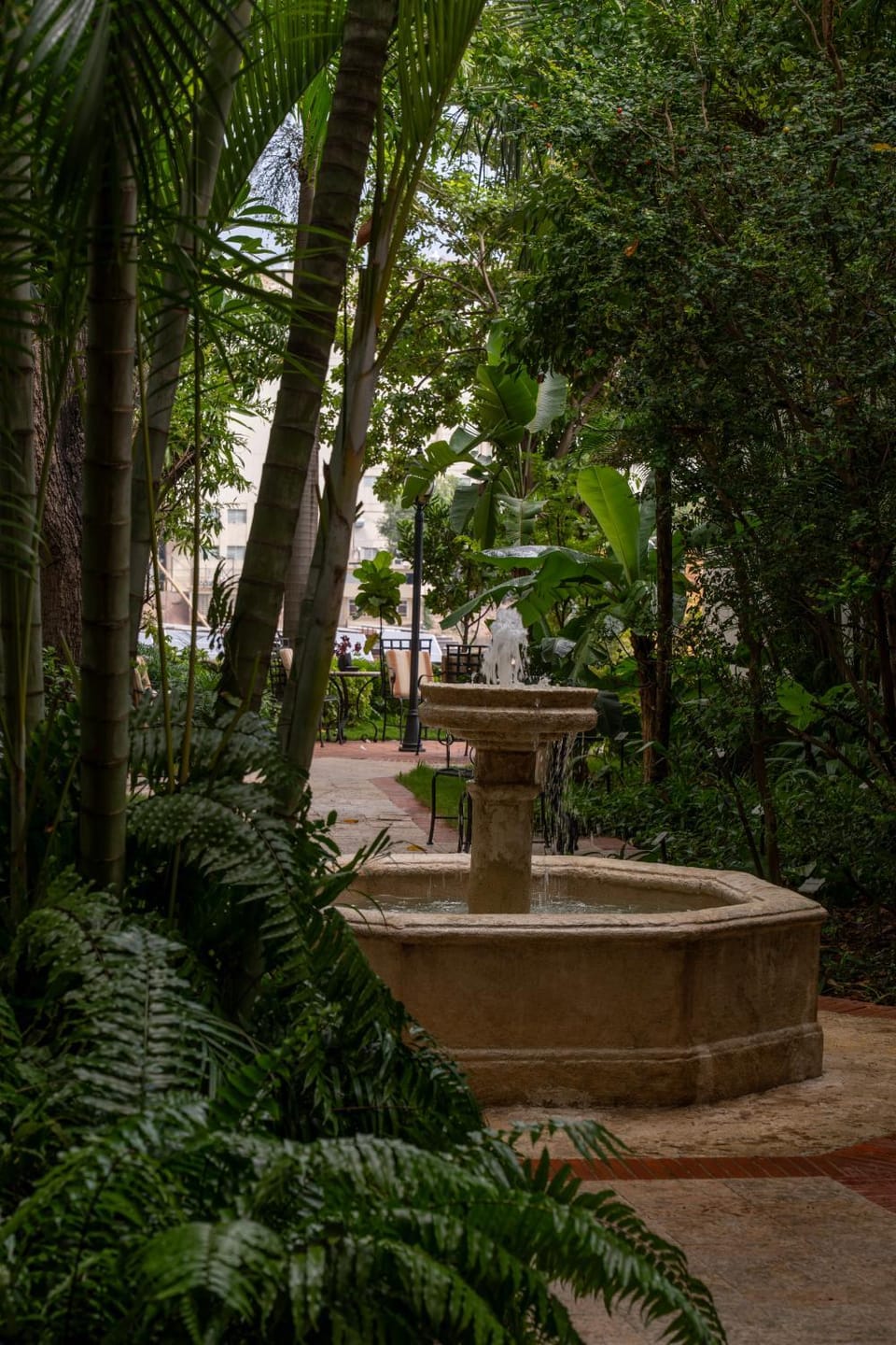 Garden