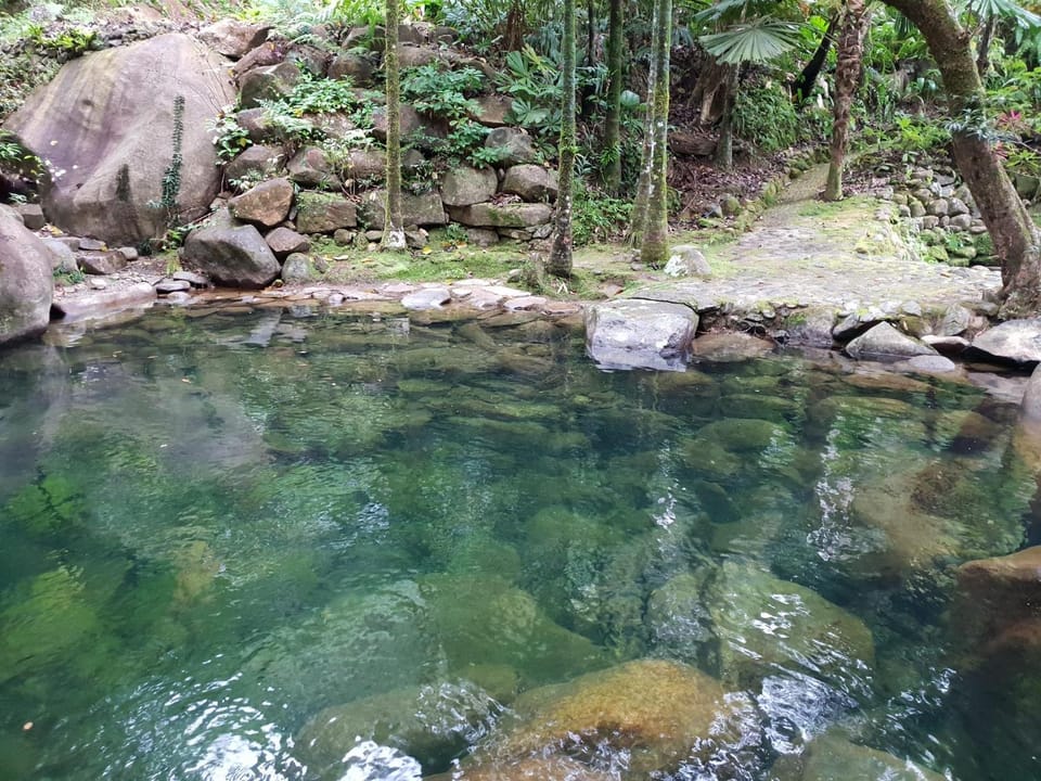 Hiking, Animals, Swimming pool
