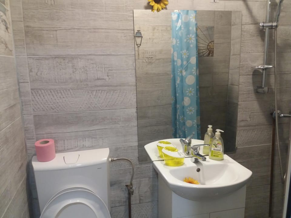 Casa Rodisa Bed and Breakfast in Cluj County