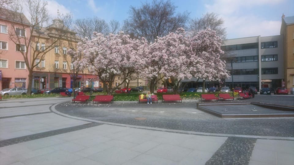 Apartment Belvedere Apartment in Czechia
