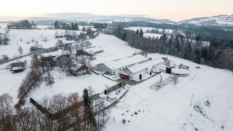 Gut Buchenhof Apartment in Kempten