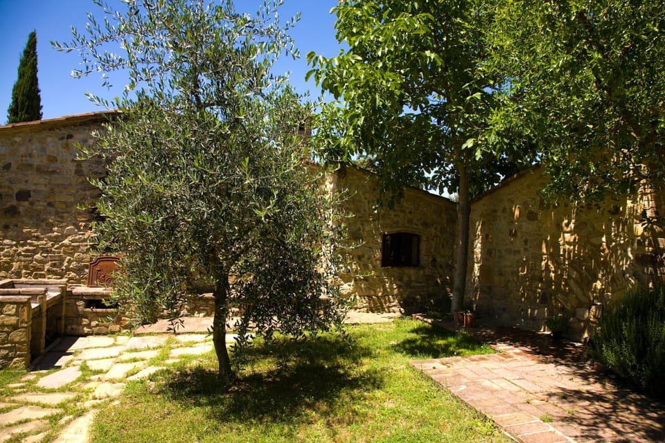 BBQ facilities