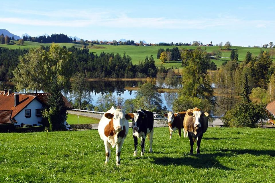 Natural landscape