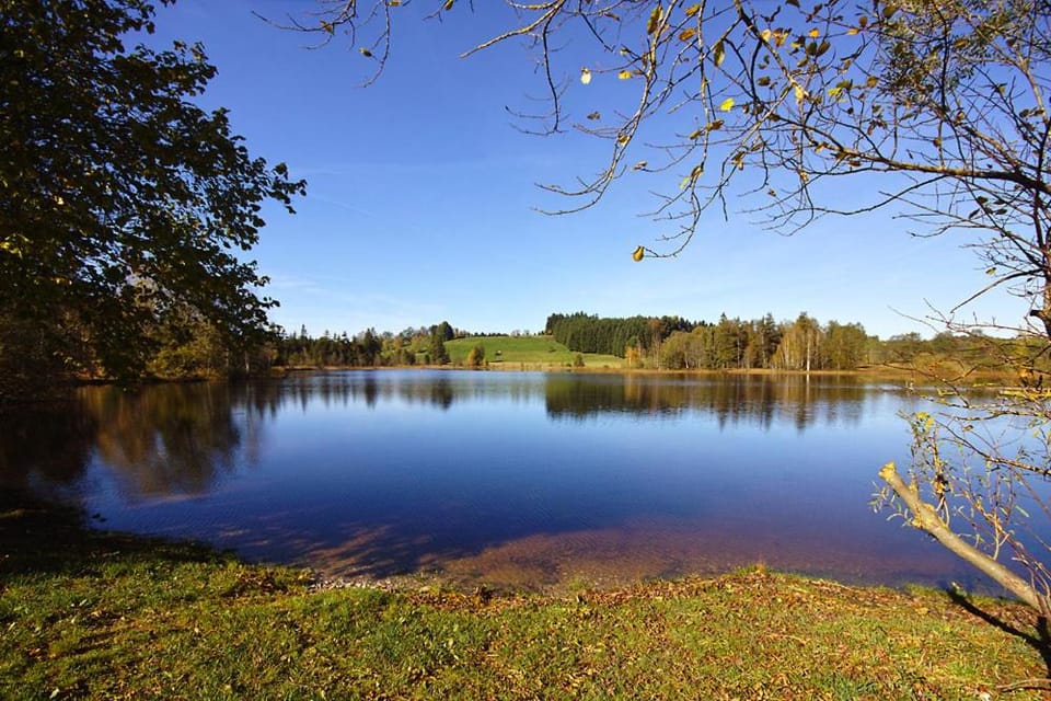 Natural landscape