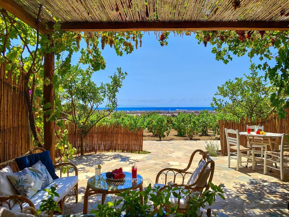 Patio, Garden, Seating area, Dining area, Sea view