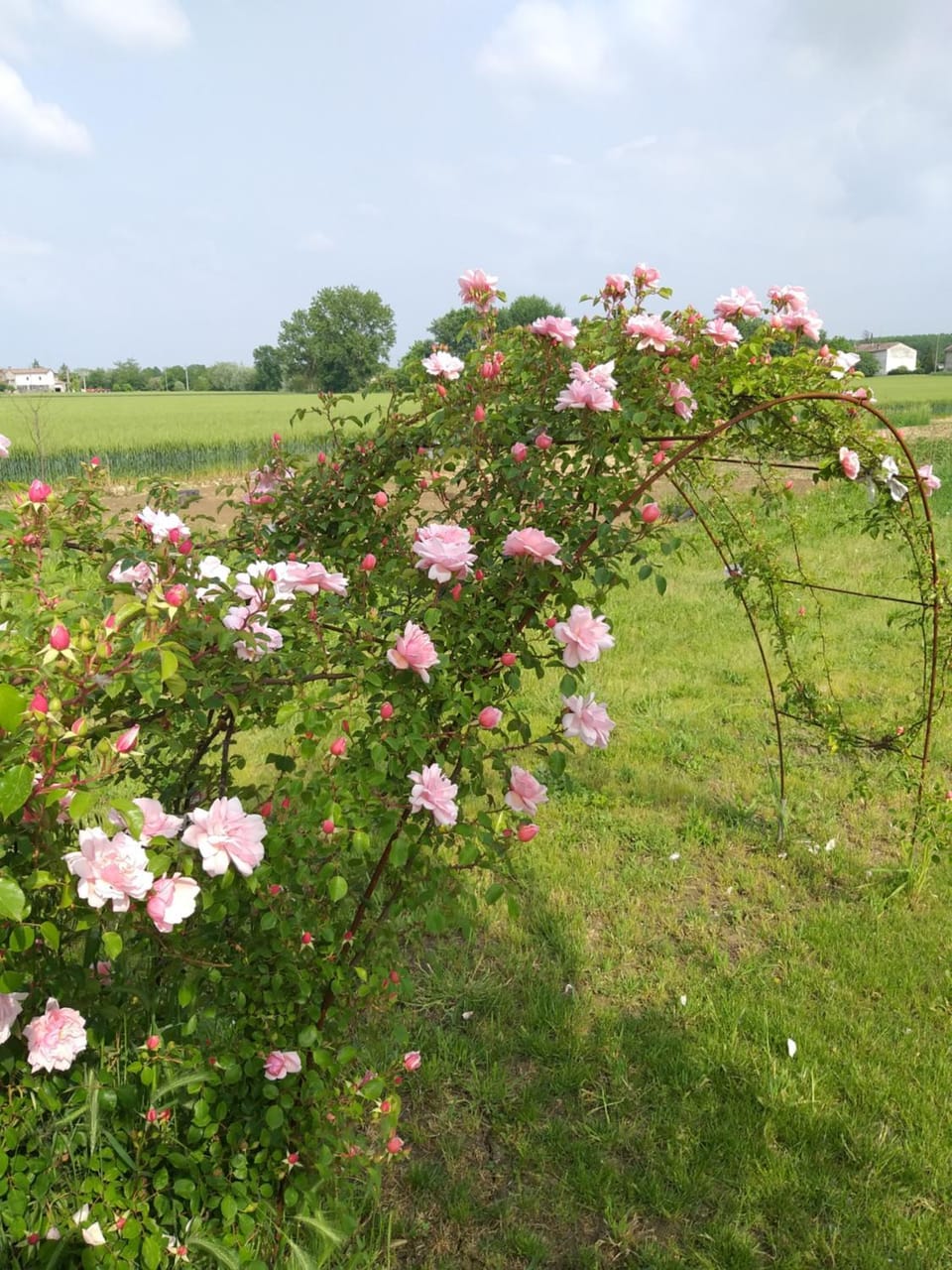 Garden, Garden view