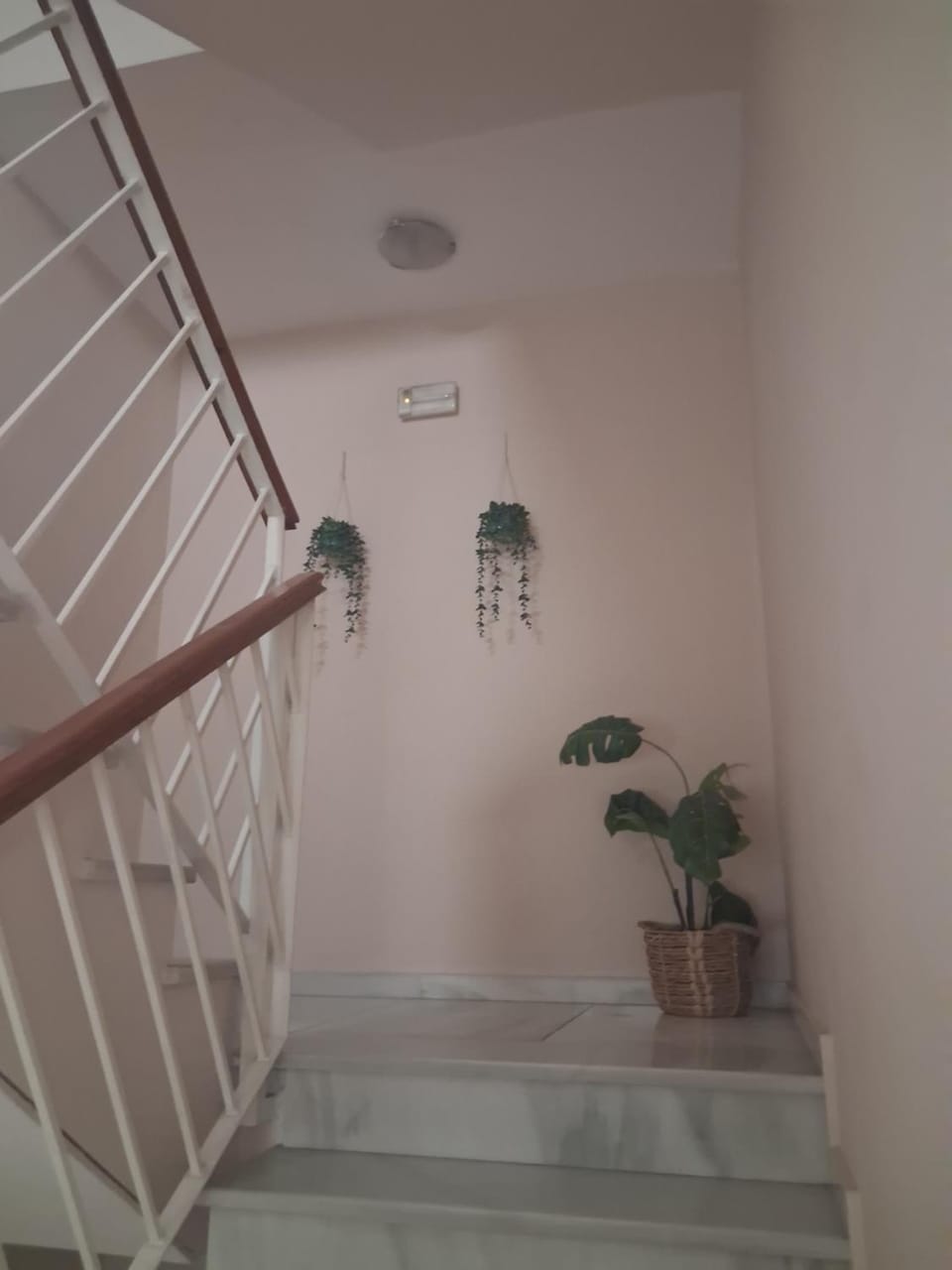 Hostal Puerta Carmona Bed and Breakfast in Seville