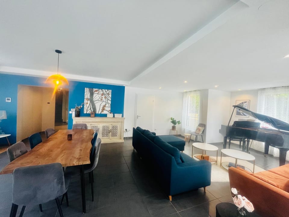 Modern House with Terrace Garden Close to Strasbourg House in Strasbourg