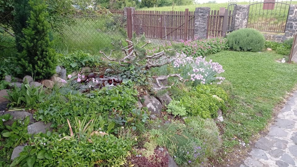Garden, Garden view