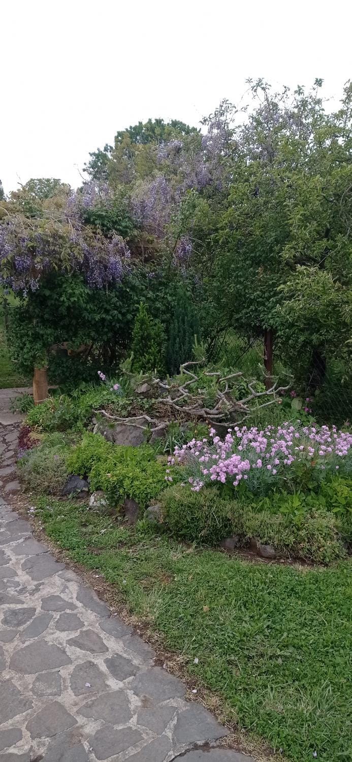 Garden, Inner courtyard view