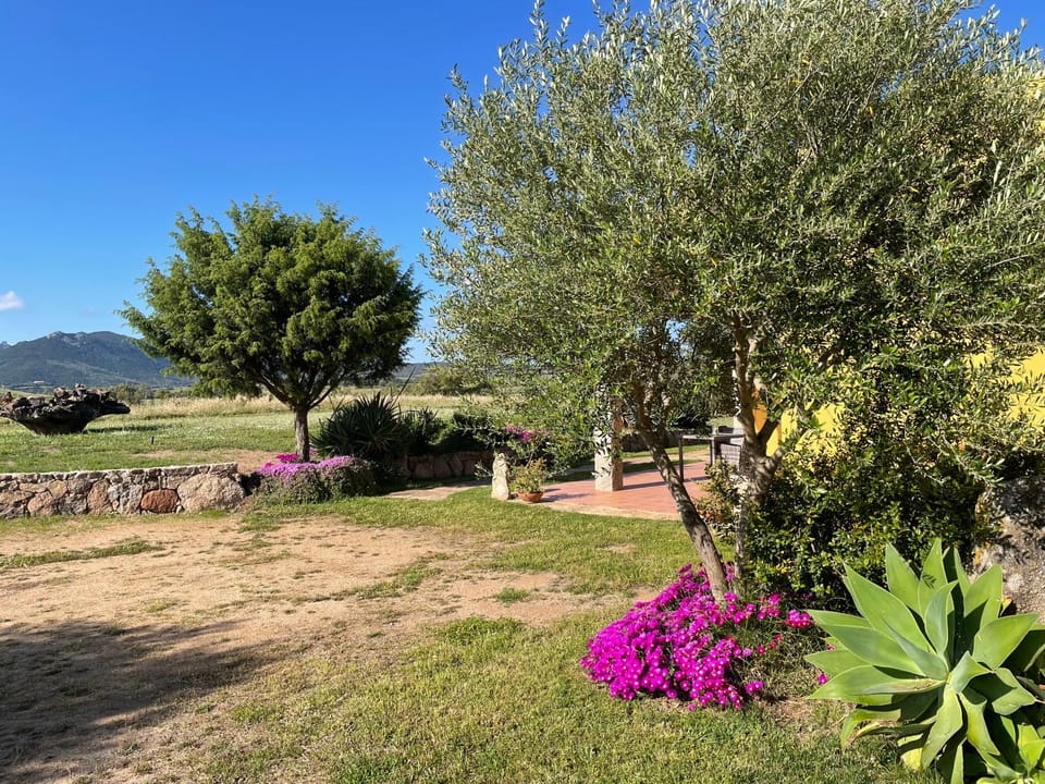 Natural landscape, Garden, Garden view