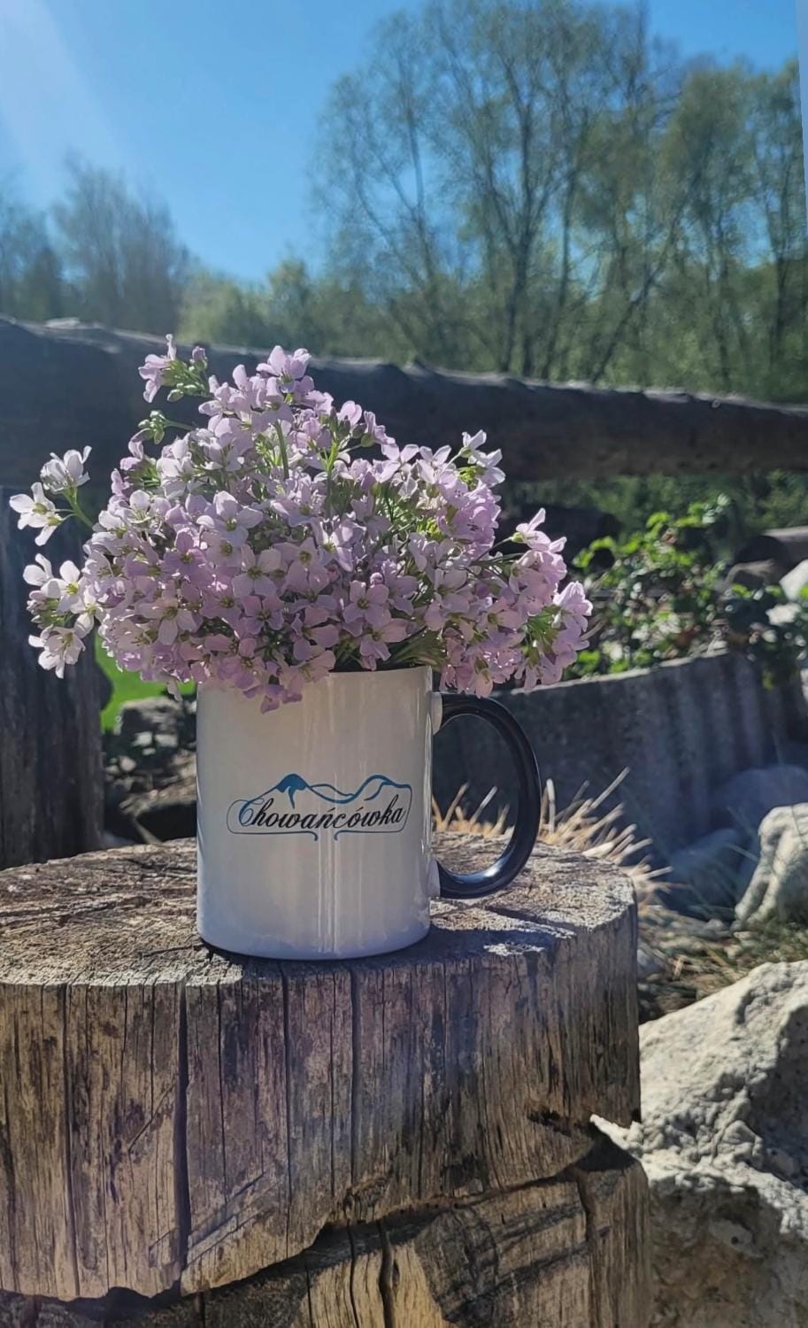 Chowańcówka Vacation rental in Zakopane