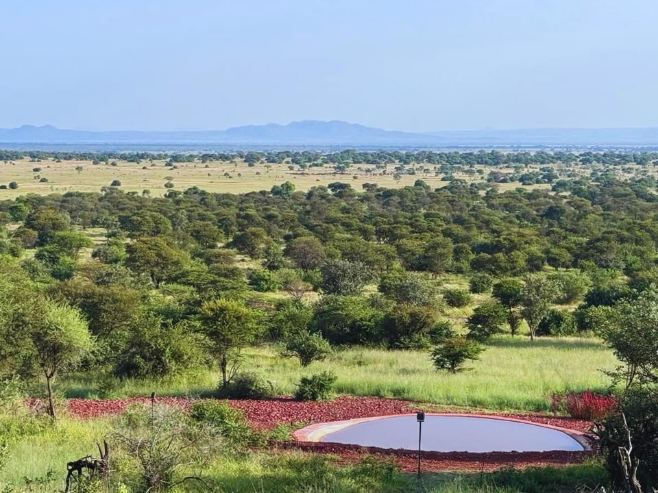 Other, Location