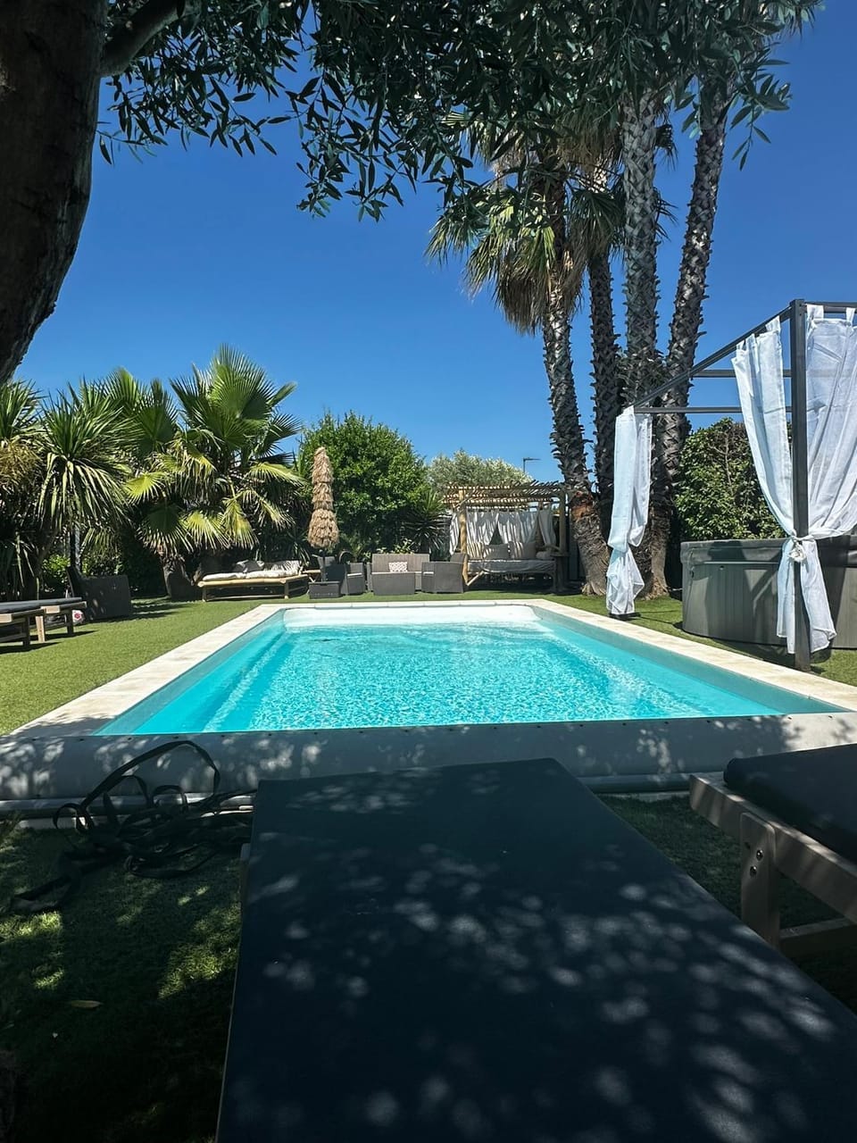 Garden, Garden view, Pool view, Swimming pool, sunbed