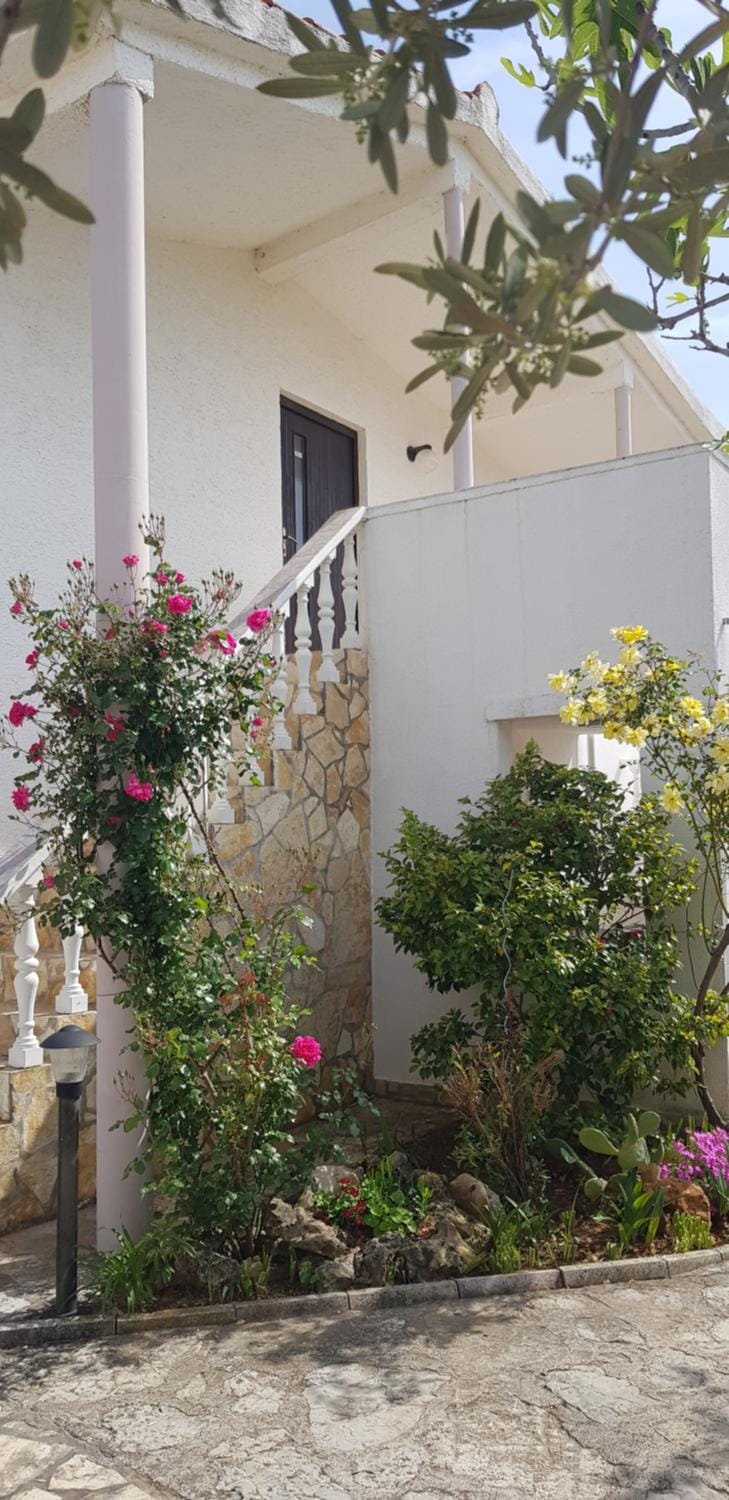 Apartments Mas-Rafaj Apartment in Zadar County