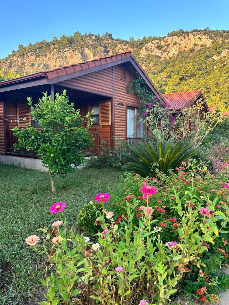 Natural landscape, Garden, Garden view, Mountain view