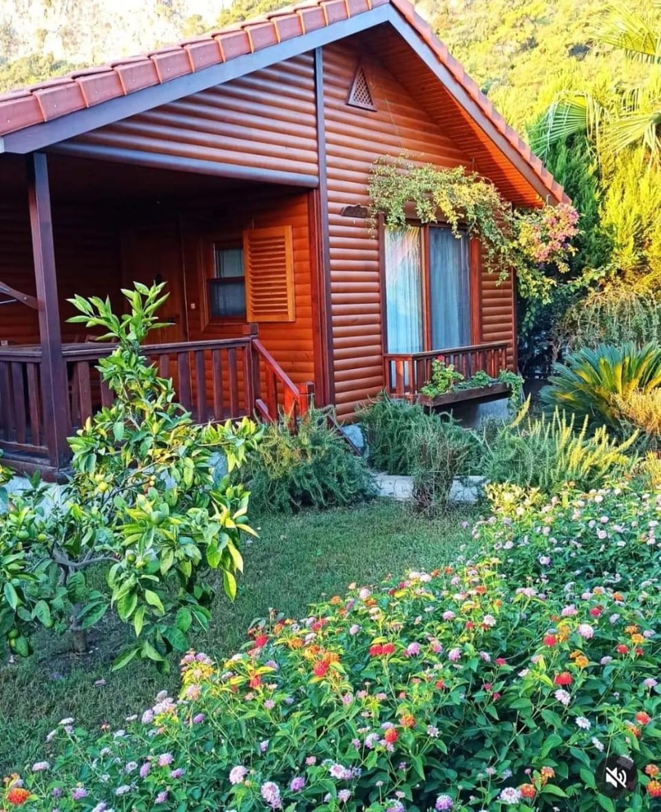 View (from property/room), Photo of the whole room