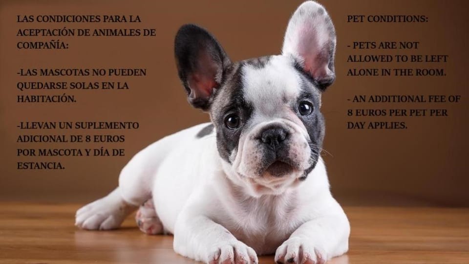 Animals, Animals, Animals, Pets, Pets, Pets, pet friendly, pet friendly