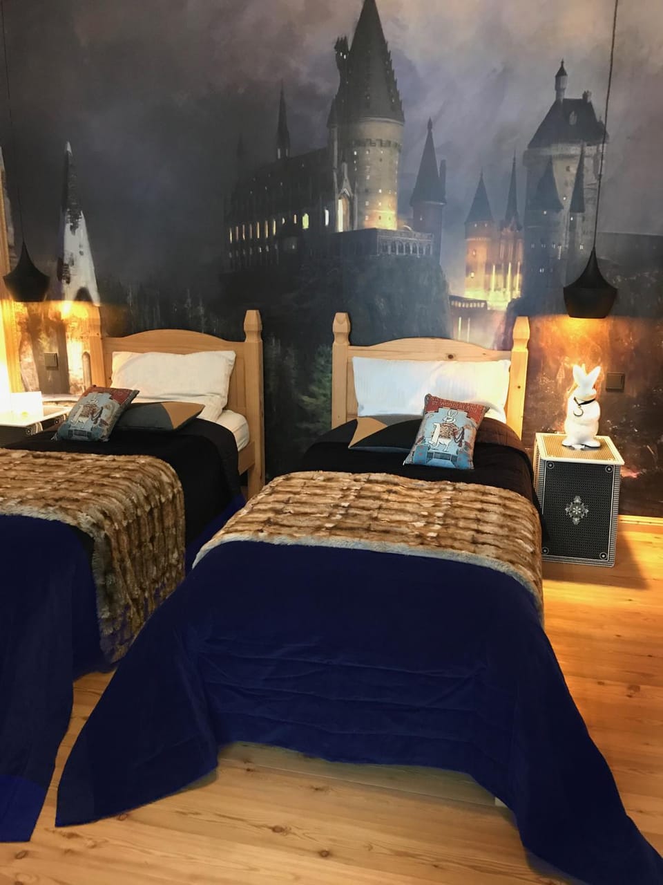 Photo of the whole room