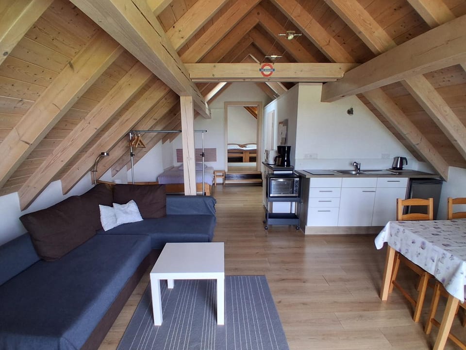 Ferienwohnung Elisabeth Apartment in Bavaria
