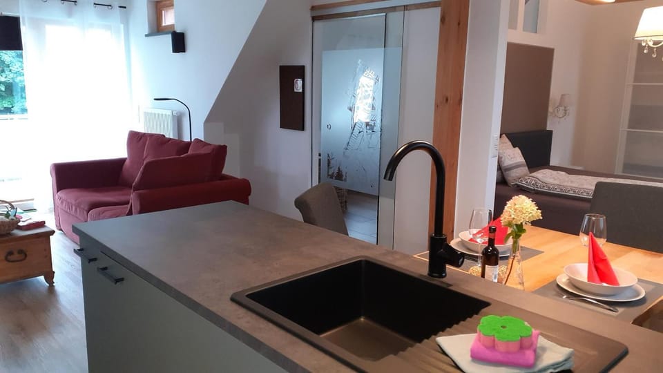 Living room, kitchen