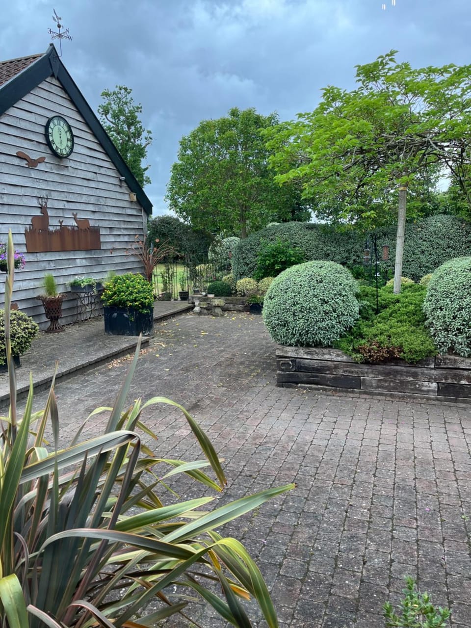 Garden view