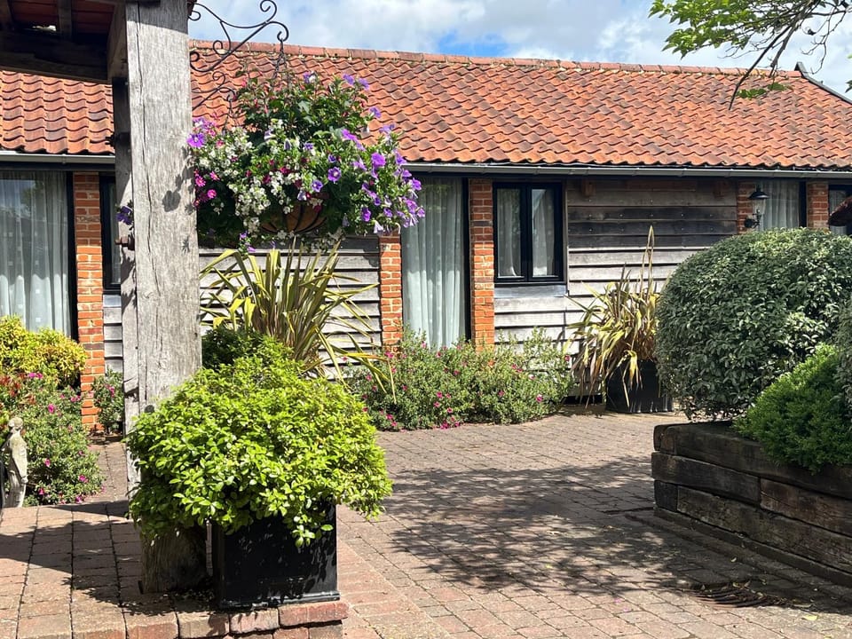 Property building, Garden view