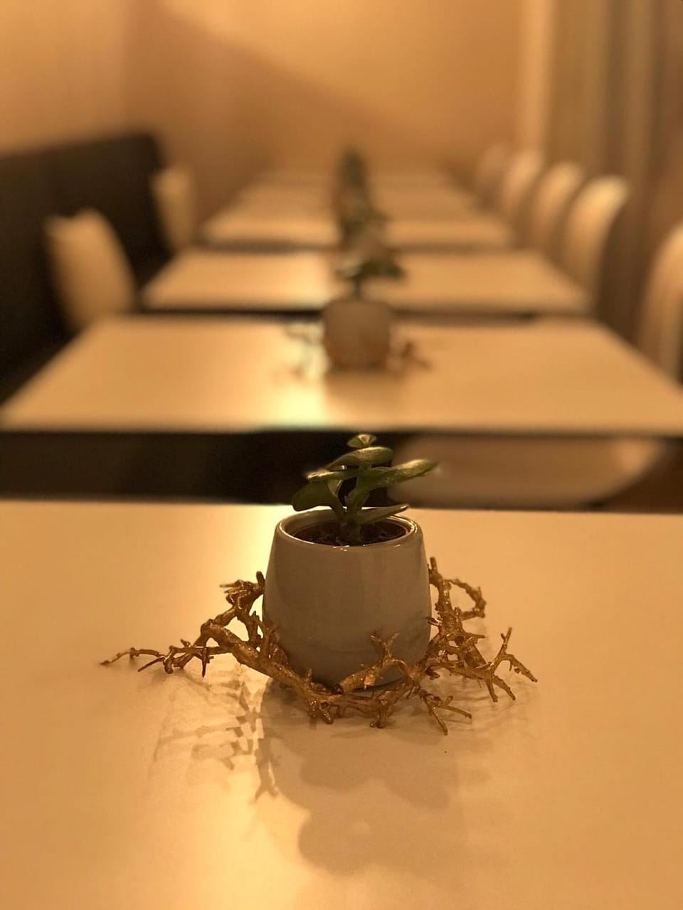 Lounge or bar