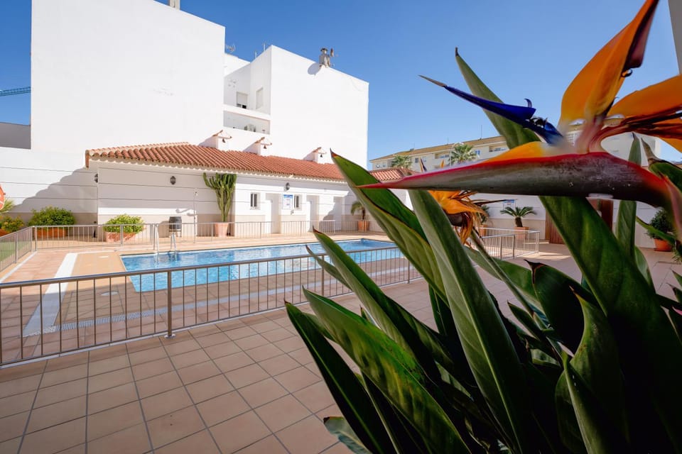 Pool view, Swimming pool