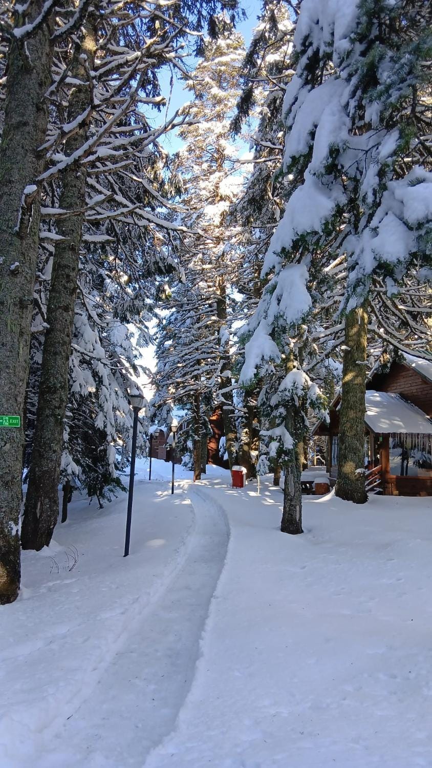 Natural landscape, Winter