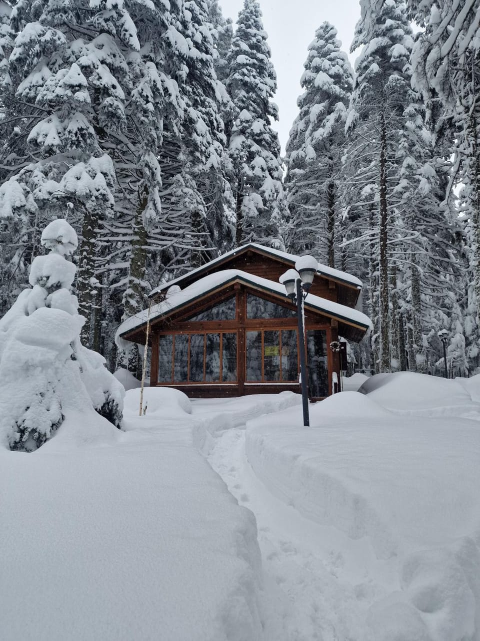 Natural landscape, Winter