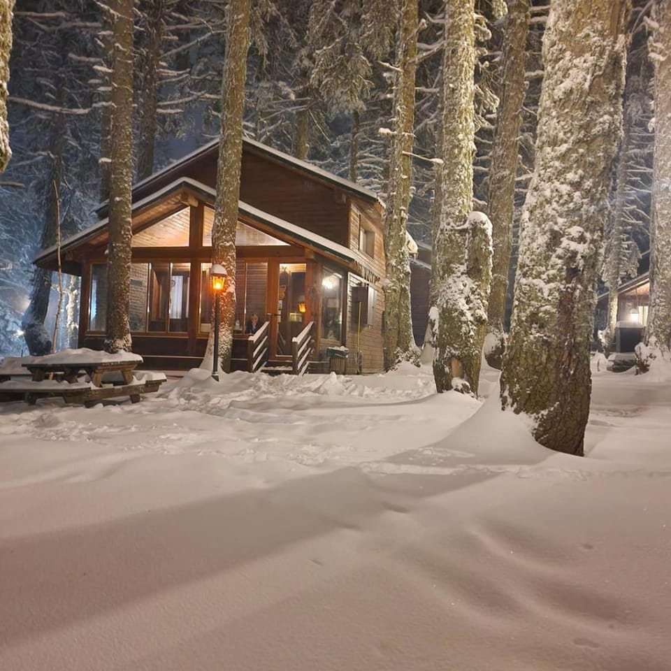 Natural landscape, Winter