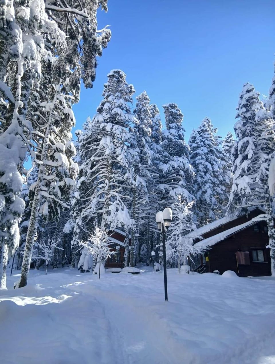 Natural landscape, Winter