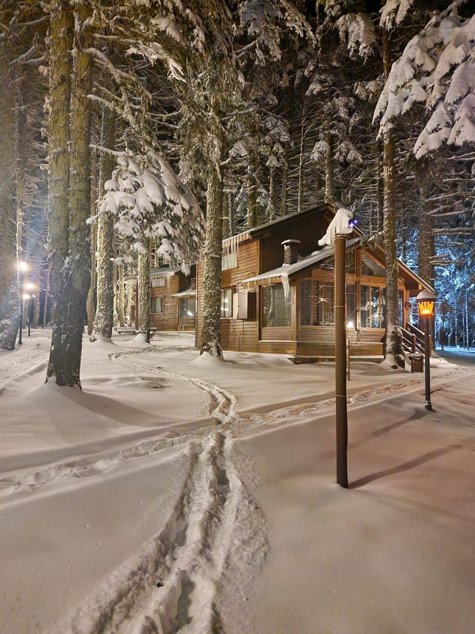 Natural landscape, Winter