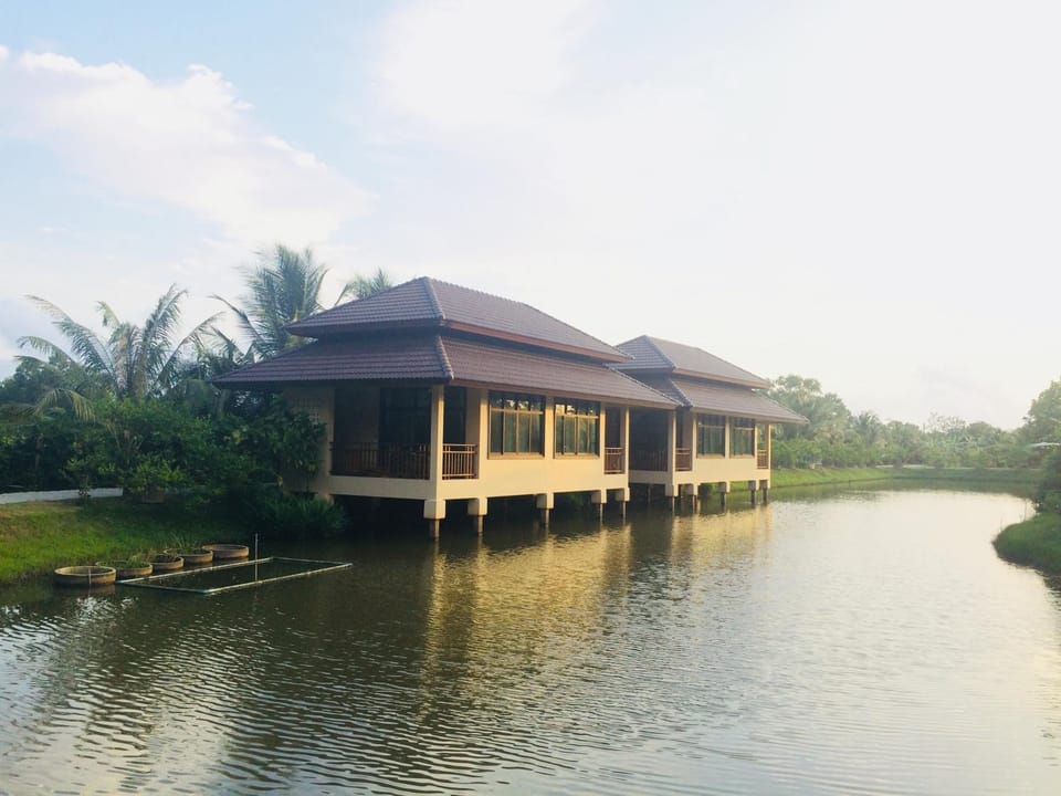 Property building, Natural landscape, Garden view
