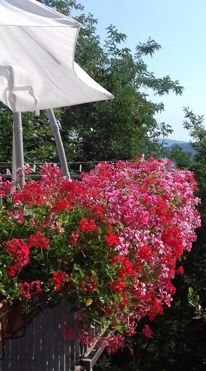 Fra Bosco e Cielo B&B Apartment in Emilia-Romagna