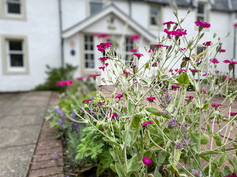 Facade/entrance, Garden