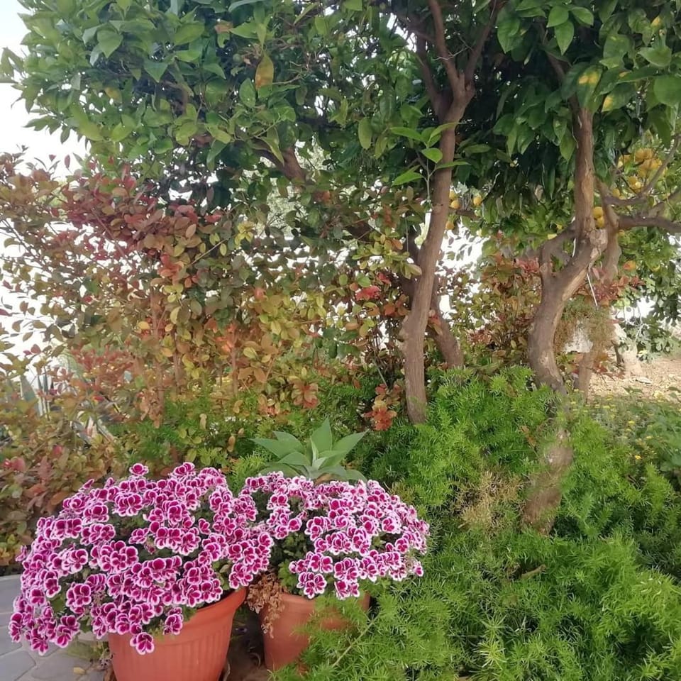 Home Scala dei Turchi B&B Bed and Breakfast in Sicily
