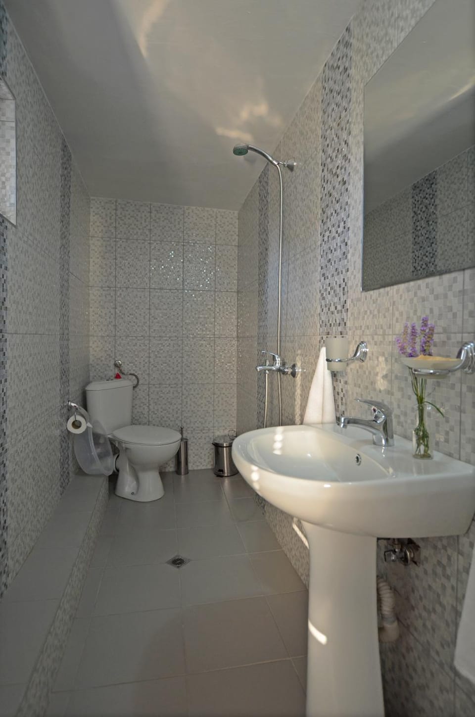 Shower, Toilet, Bathroom